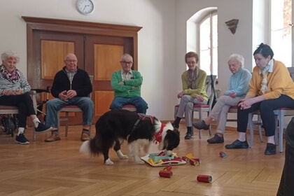 Besuchshunde bereichern die Tagespflege